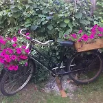 Il Torchio - 3* Dormelletto