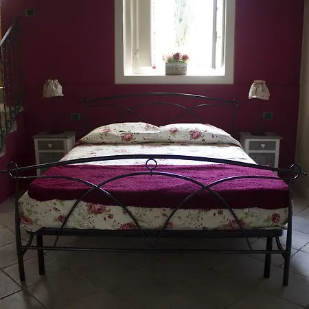 Guest house Il Torchio - Guest House Lago Maggiore Dormelletto