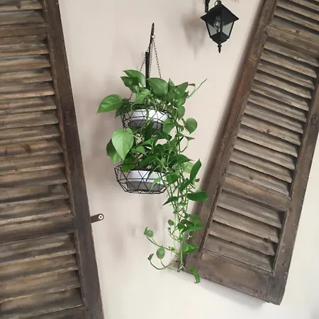 וילה L' Antico Torchio *