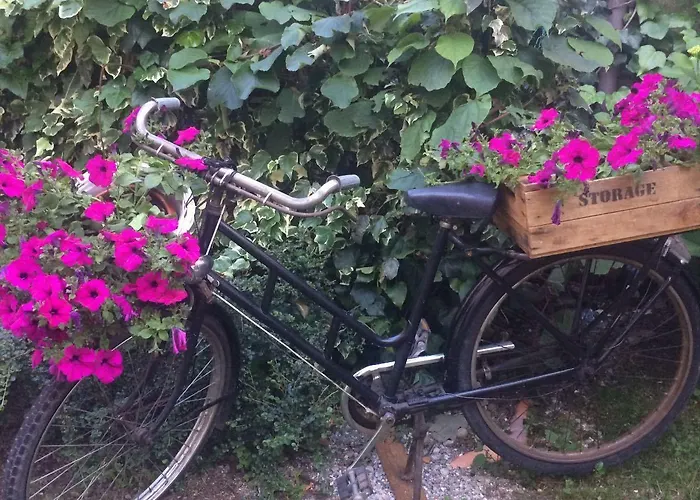 Il Torchio - Guest House 3* Dormelletto