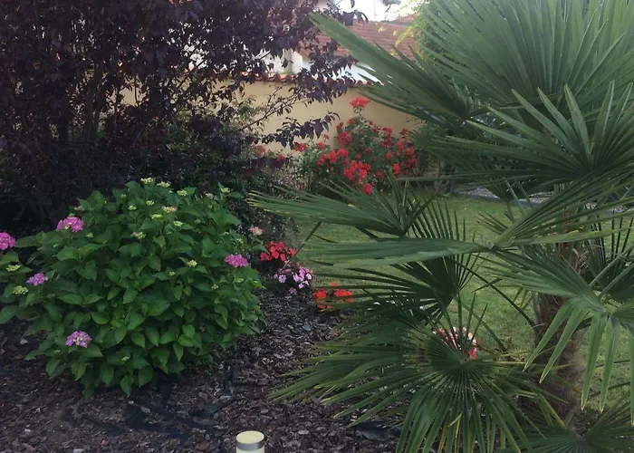 L' Antico Torchio * Dormelletto